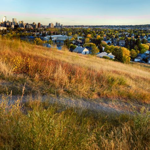 west hillhurst calgary - editorial - harderlee