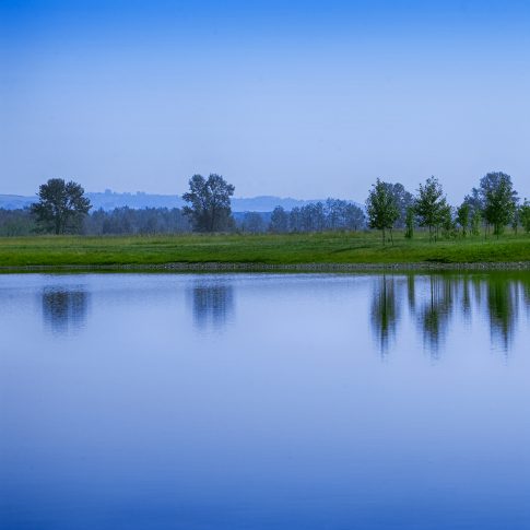 Nature - architecture - Harderlee