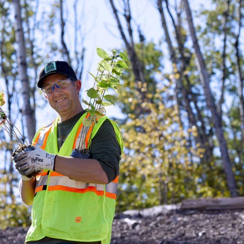 Tree Planting --Industrial - HarderLee