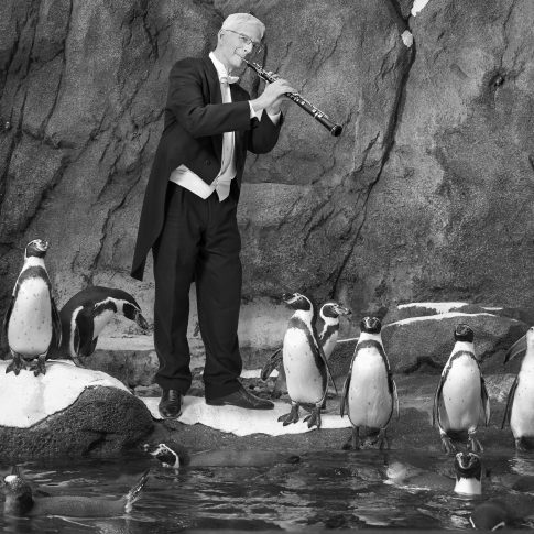 Musicians with penguins- Editorial - HarderLee