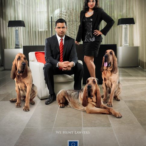 lawyers with dogs - commercial - harderlee